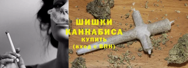 соль ск Каменногорск