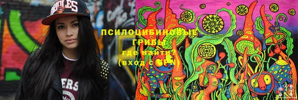 соль ск Каменногорск