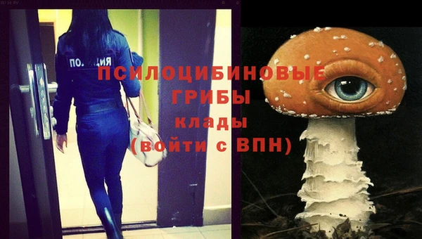 гашишное масло Каменка